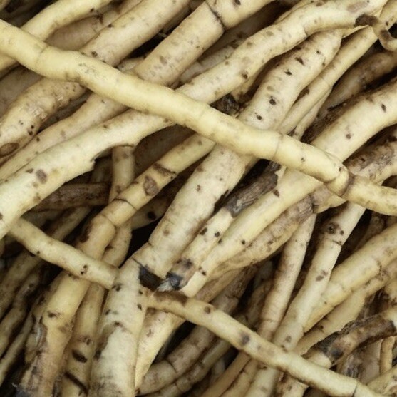 Ноты в ароматах